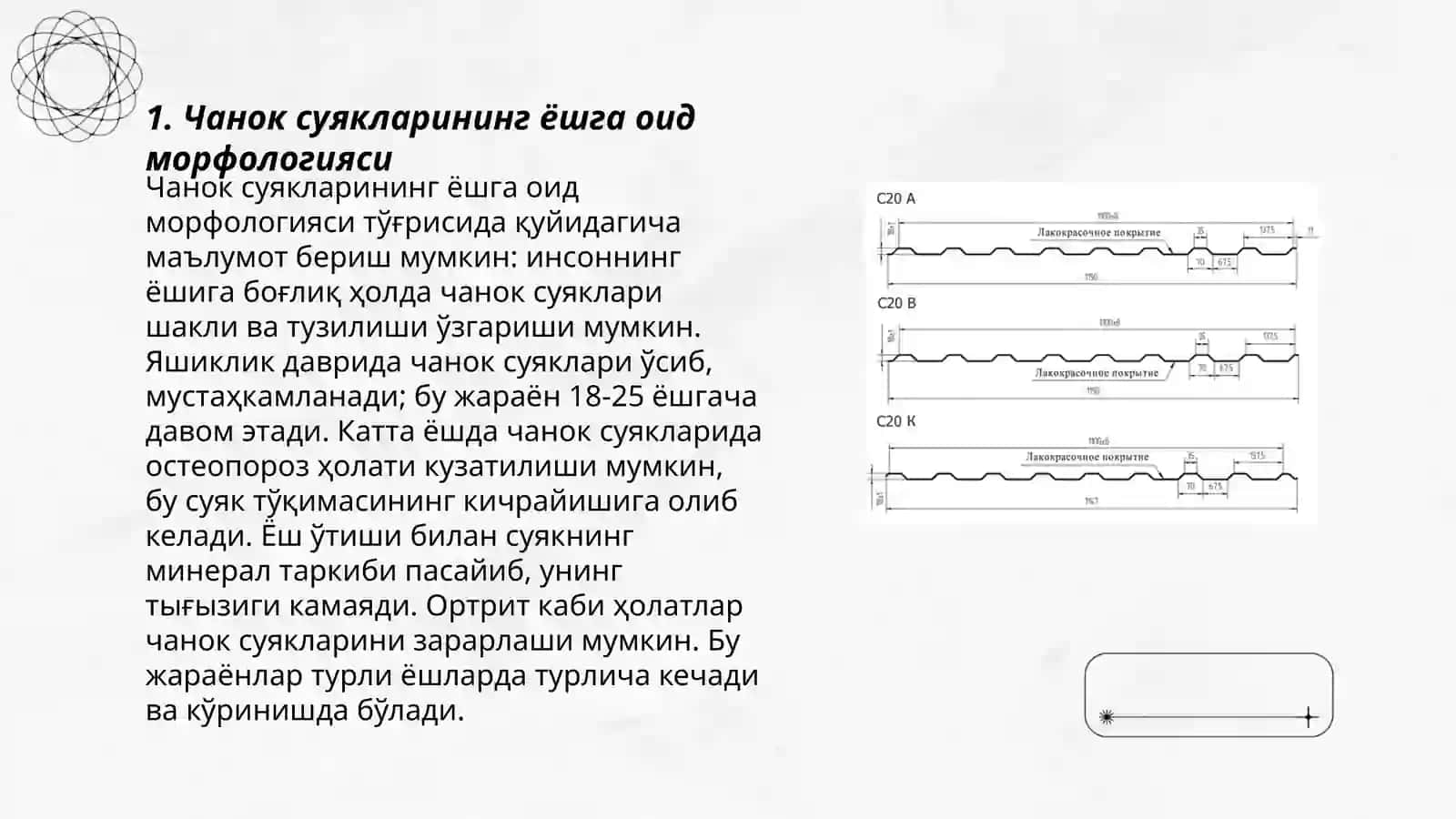 Чанок ва оёк суякларининг ёшга нисбатан хусусиятлари спорт ва мехнат фаолиятини чанок ва оёк суякларига тасири,ривожланиш нуксонлари 3