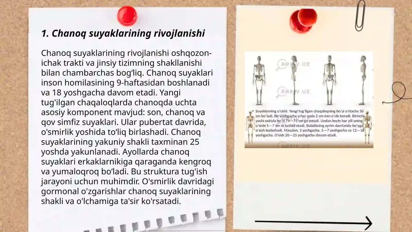 Chanoq va oyoq suyaklarining yoshga nisbatan xususiyatlari 3