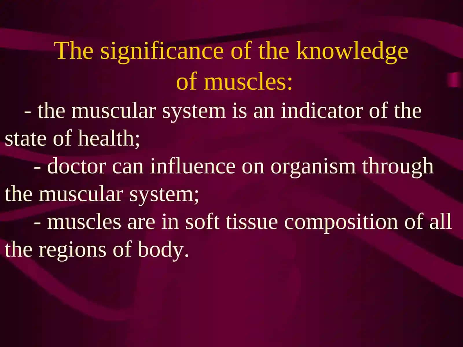 The muscular system 3