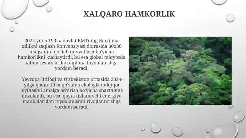 Atrof-muhitni muhofaza qilish, tabiiy resurslardan oqilona foydalanish 3