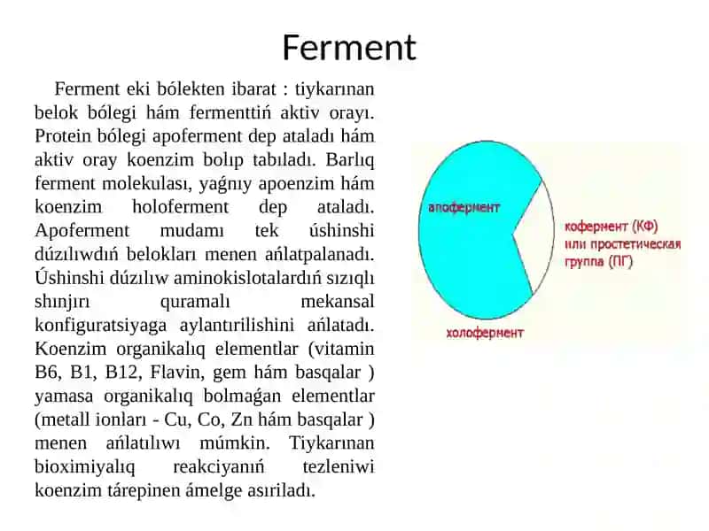 Fermentler 3