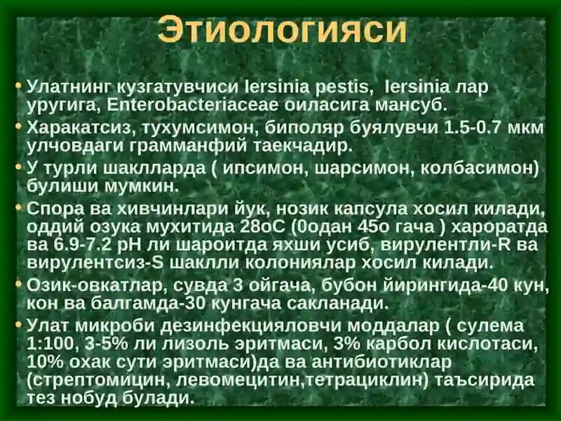 Улат 3