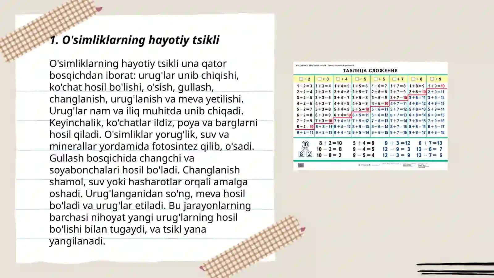 O'simliklarning hayotiy tsikli 3