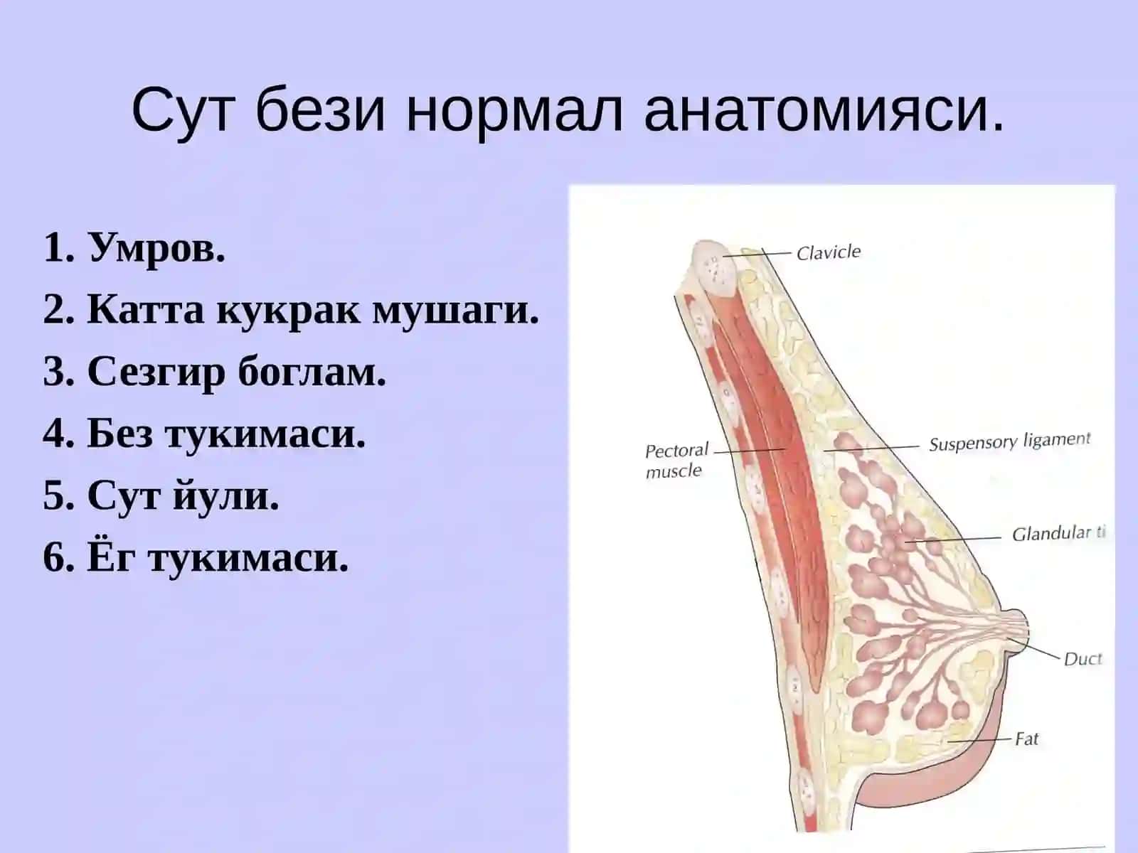 Urologiya va Onkologiyakafedrasi 3