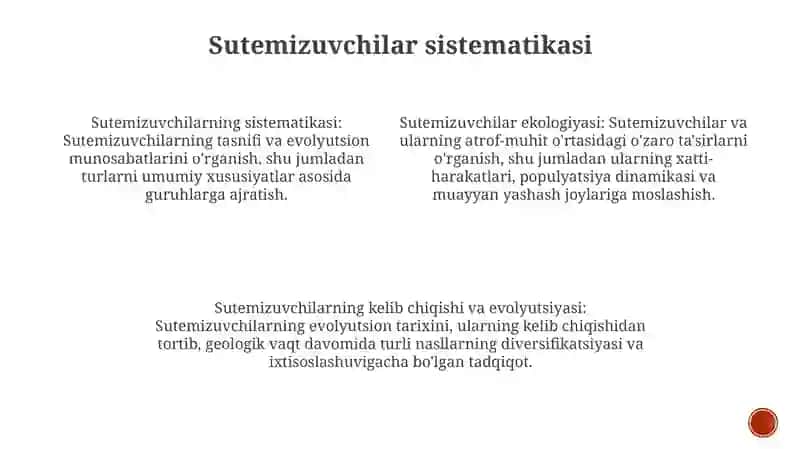 Sut Emizuvchilarning Sistematikasi 3