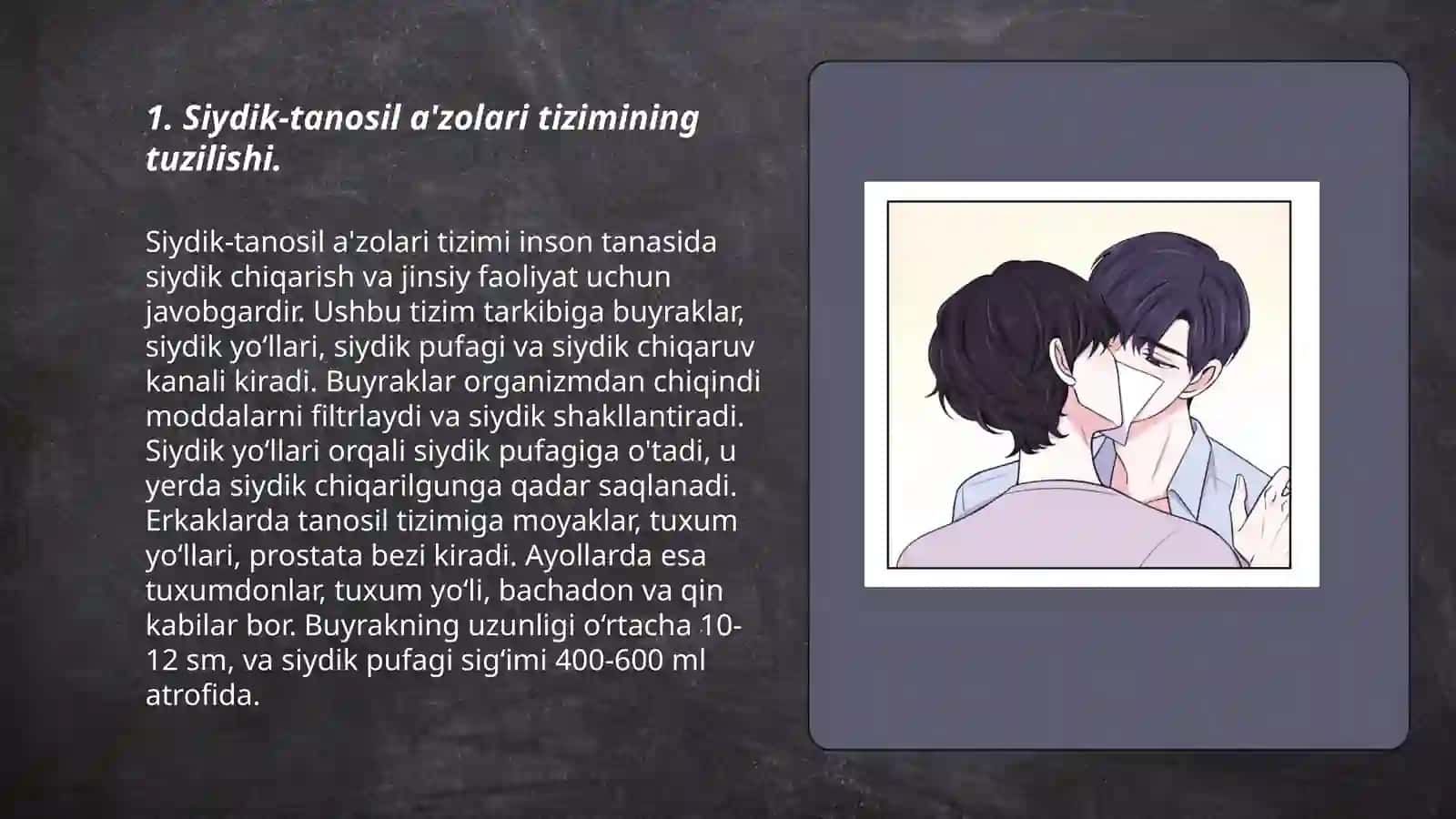 Siydik-tanosil a'zolari tizimi 3
