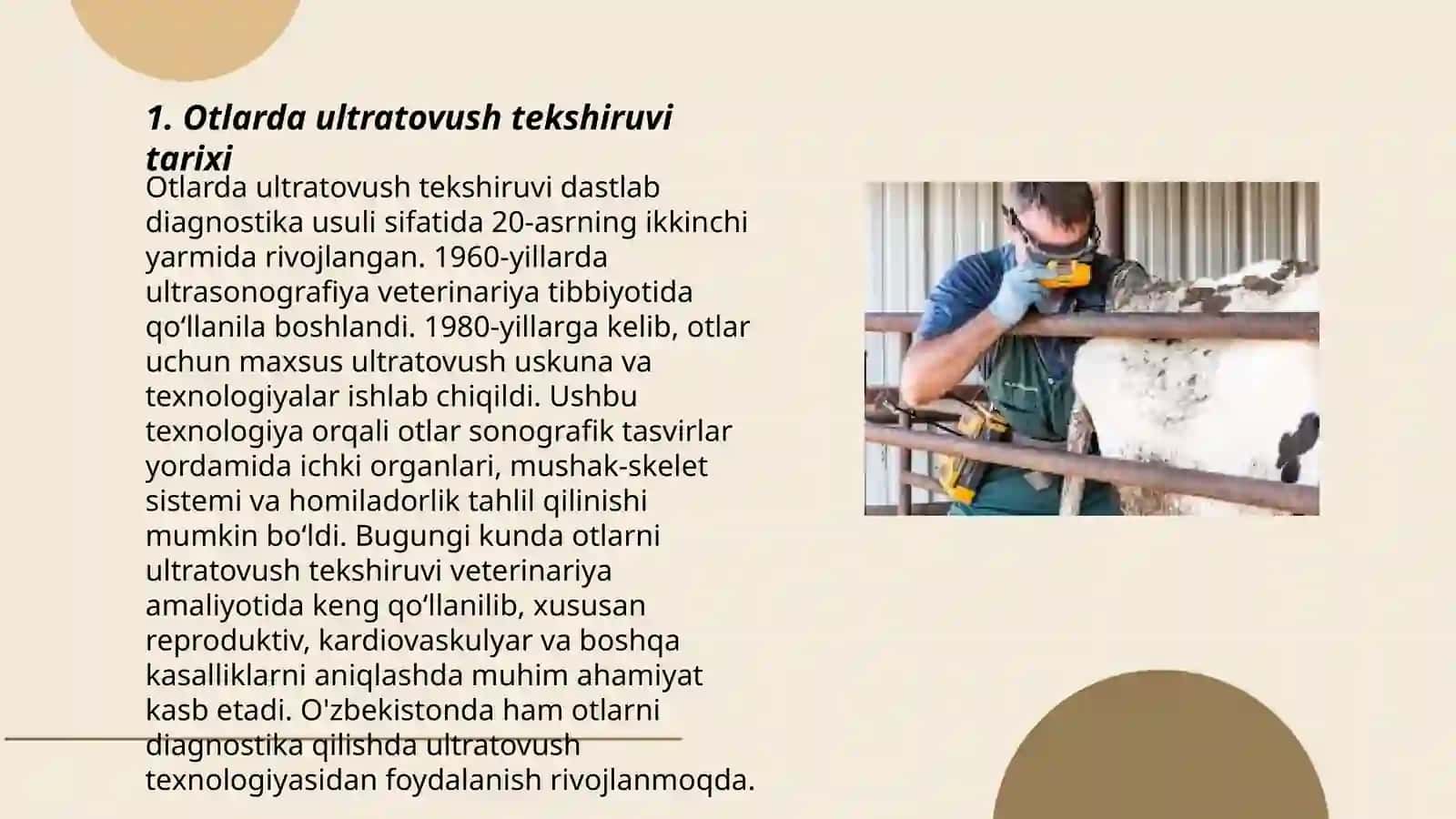 Otlarda ultratovush tekshiruvi (ultratovush) otlarda kasalliklarni tashxislash usuli 3