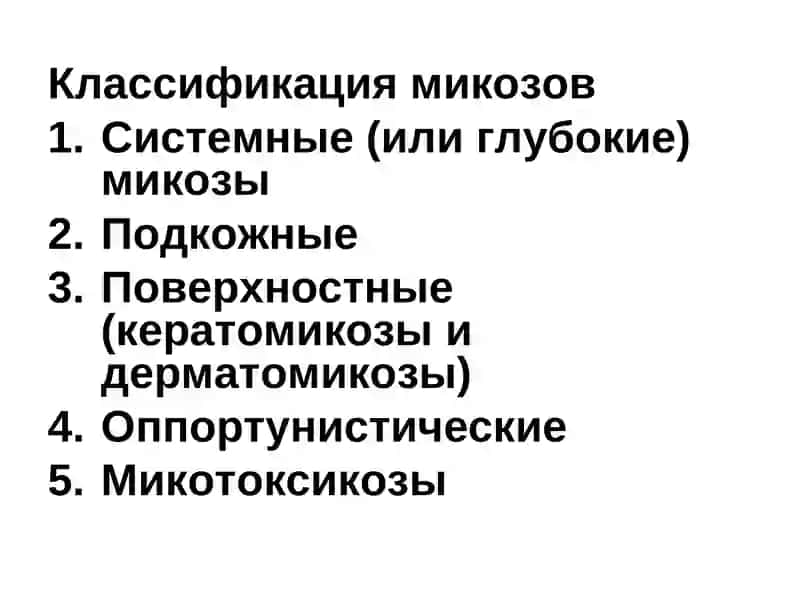 Возбудители микозов 3