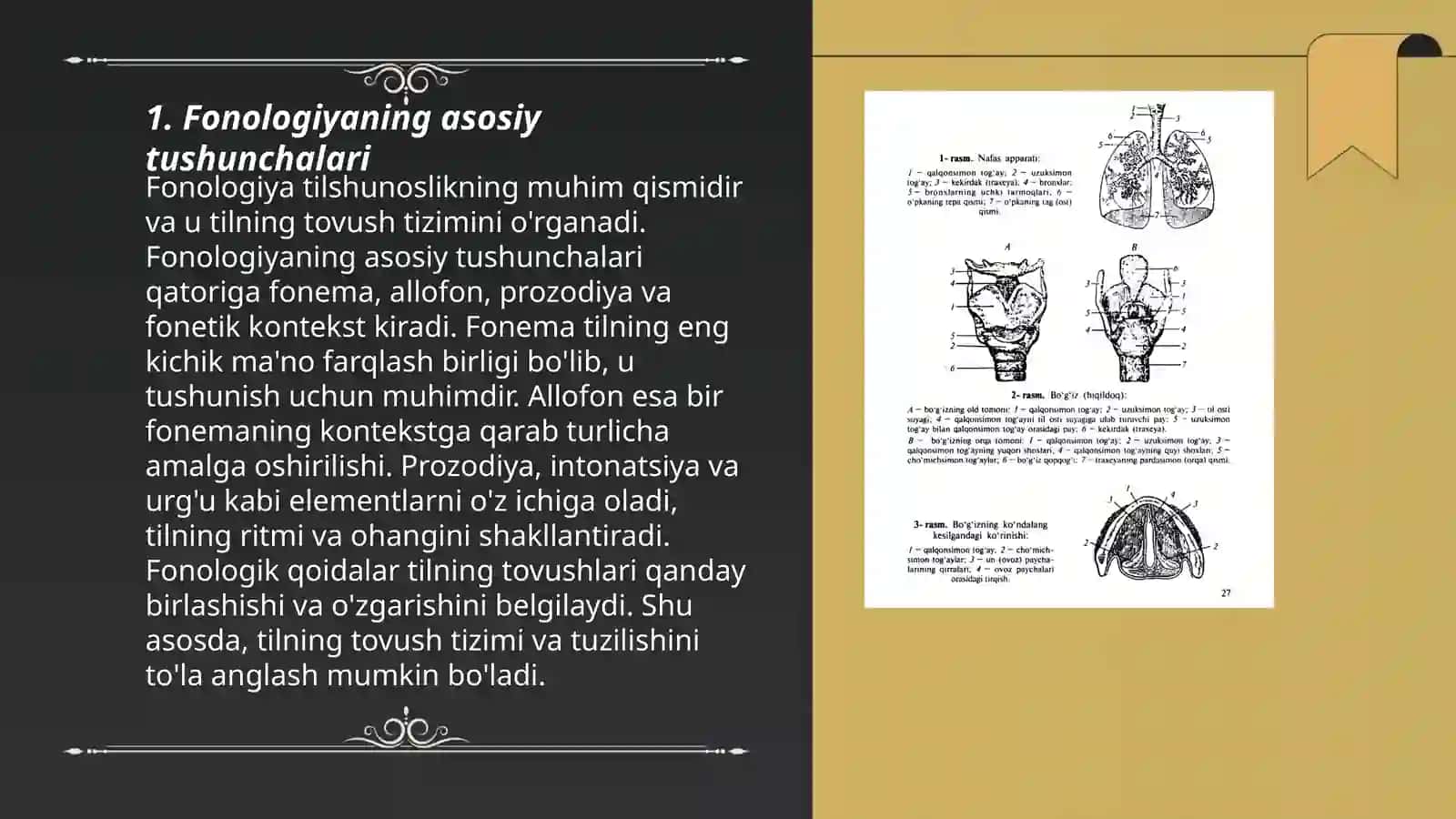 Fonologiya haqida ma'lumot 3