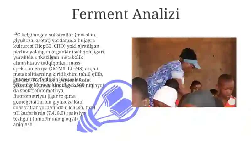 Ferment Analizi 3