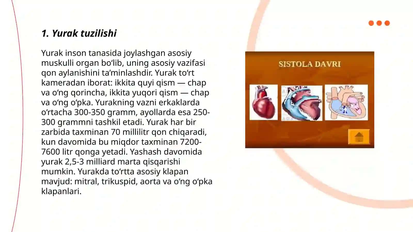 Yurak-qon tomirlar tizimi. Venula arteriolo-venulyar anastamozlar venalar 3