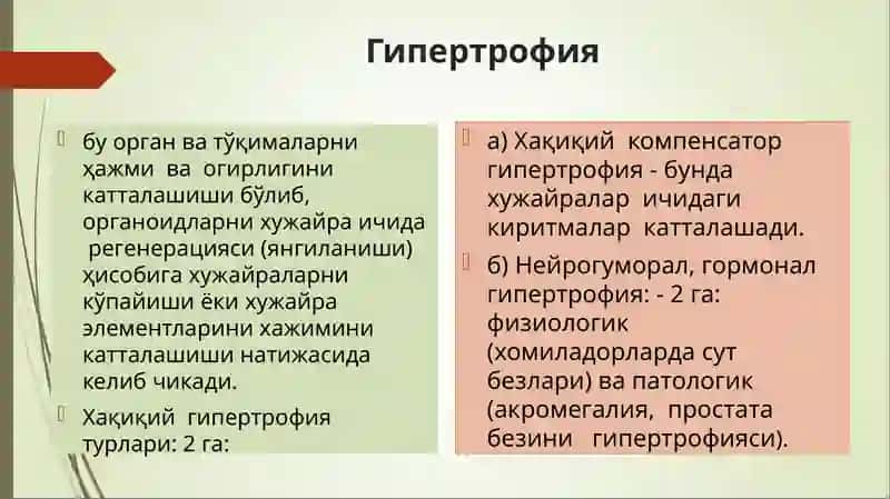Usma xujayralarini kelib chiqishidagi axamiyati 3