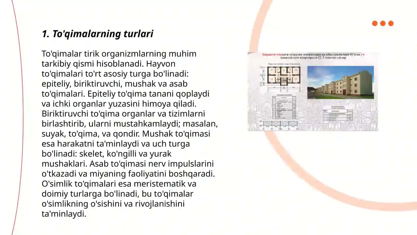 Toʻqimalar klassifikatsiyasi va bir qavatli epiteliy 3