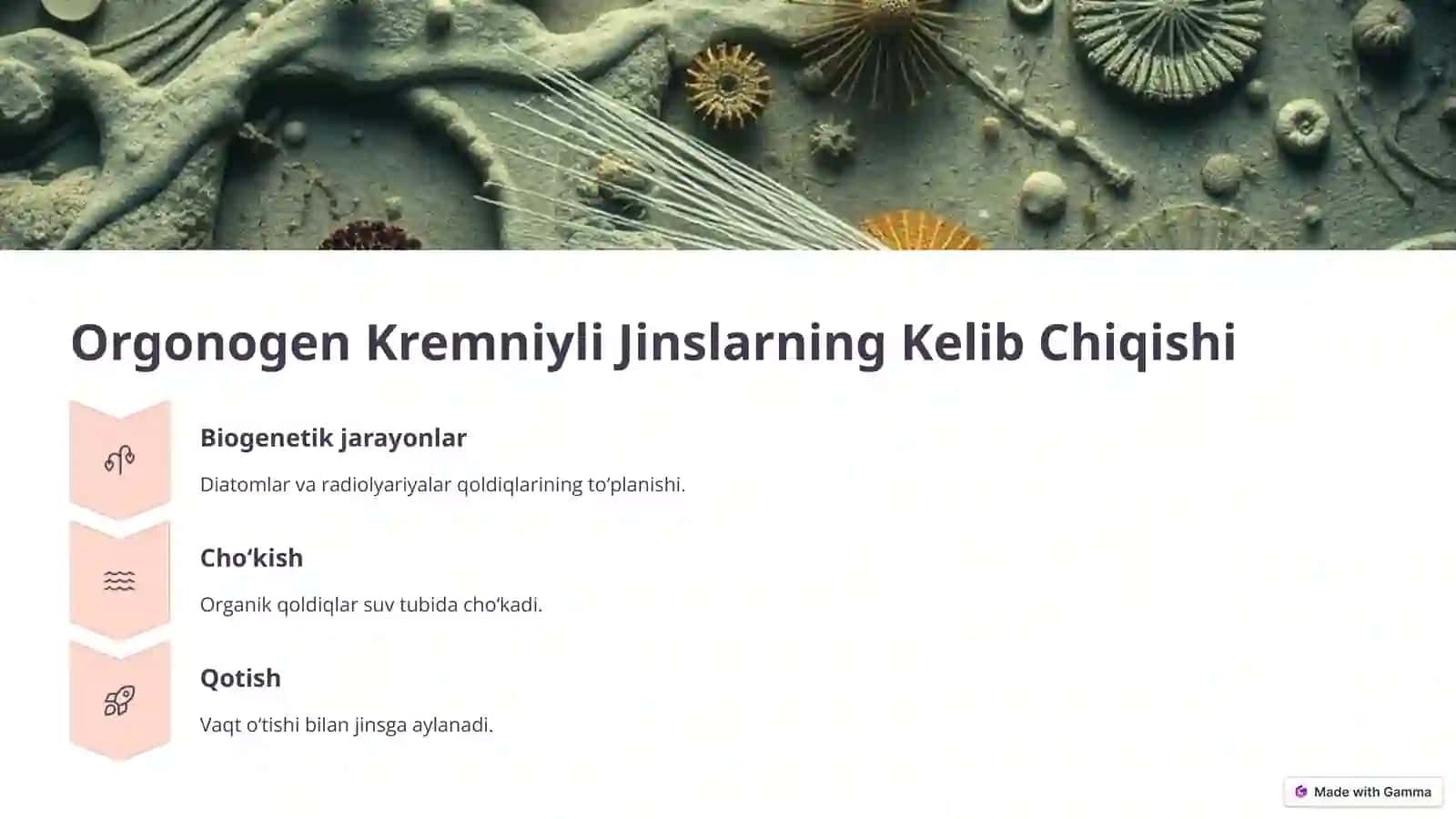 Orgonogen Kremniyli Jinslar 3