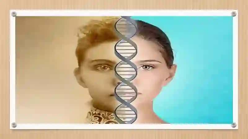 Irsiykasalliklartushunchasigenetikbiologikmeros 3