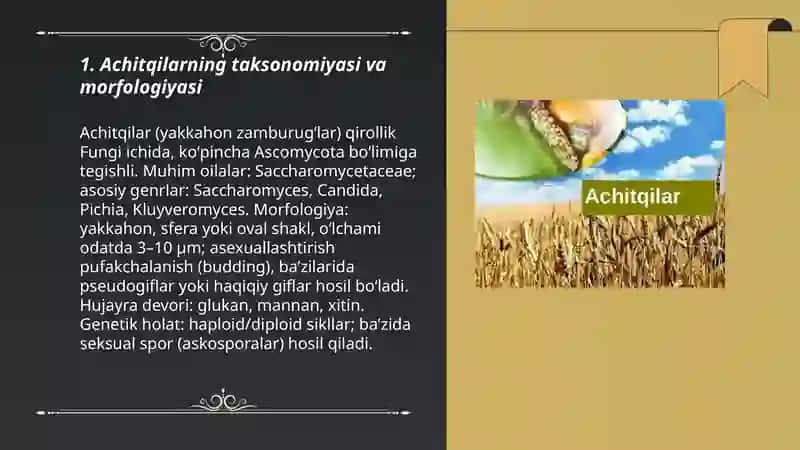 Achitqilar va ularning turlari, olinish texnologiyasi va ishlab chiqarishdagi axamiyati 3