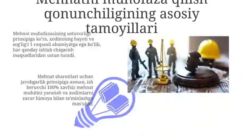 Mehnatni muhofaza qilish qonunlari tashkiliyasoslari 3