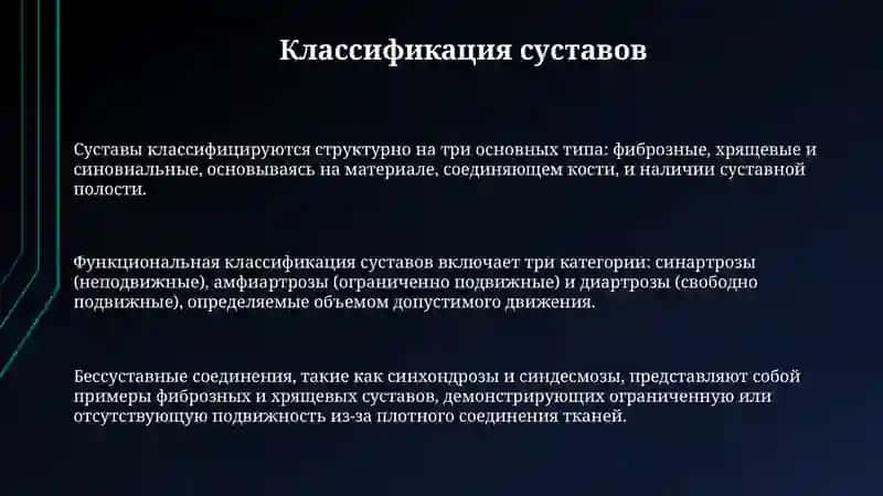Анатомиясуставов 3