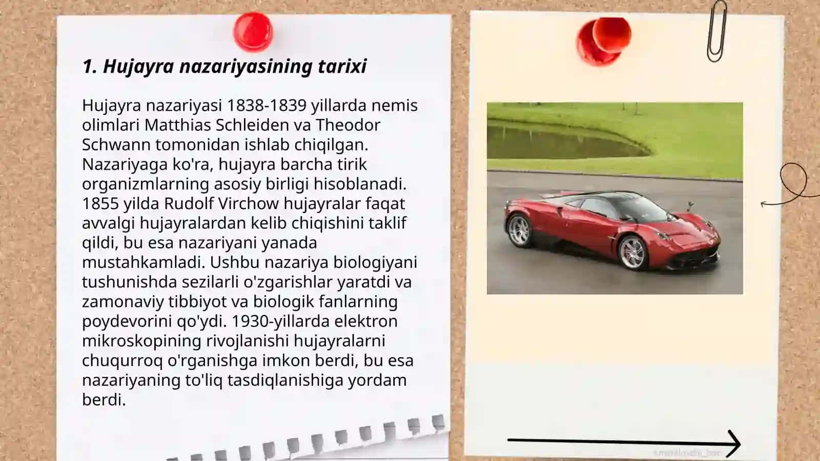 Hujayra nazariyasi 3