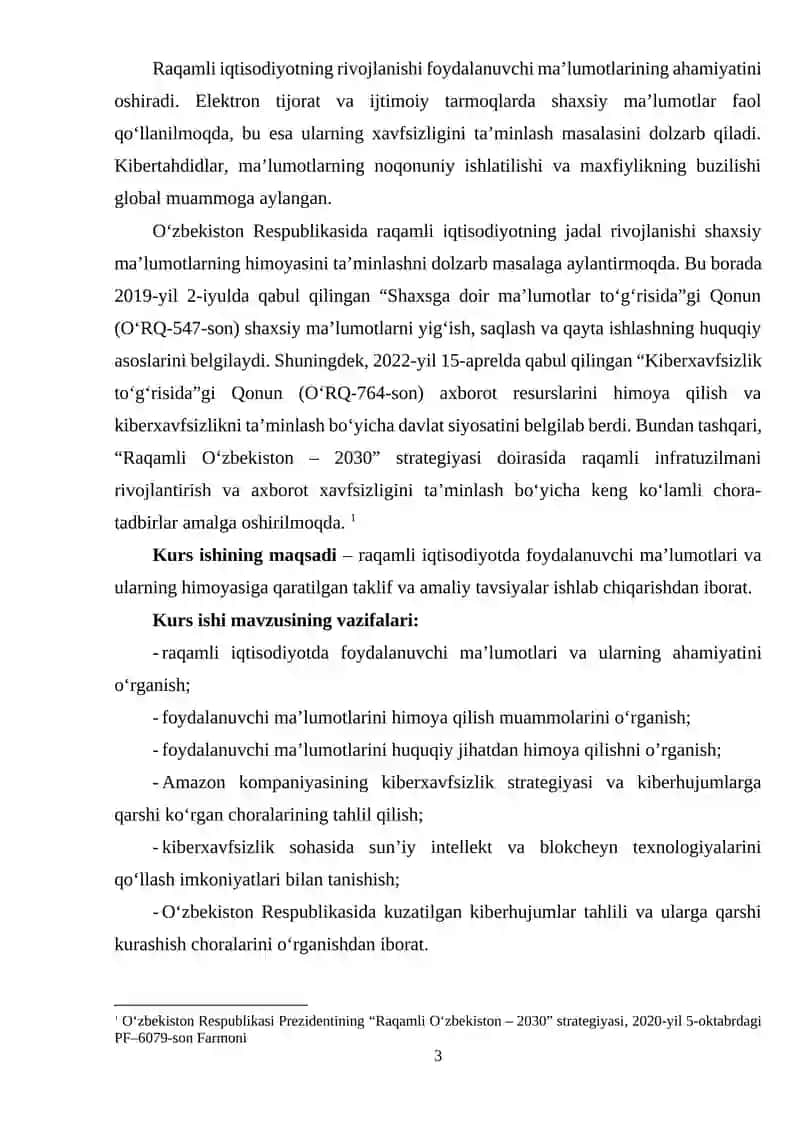 Raqamli iqtisodiyotda foydalanuvchi ma’lumotlari va ularning himoyasi 3