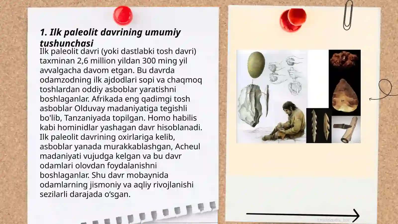 Ilk paleolit davri yodgorliklari va uning oʻrganilishi 3