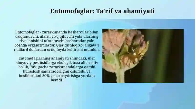 Entomofaglar: Ta'rif va ahamiyati 3