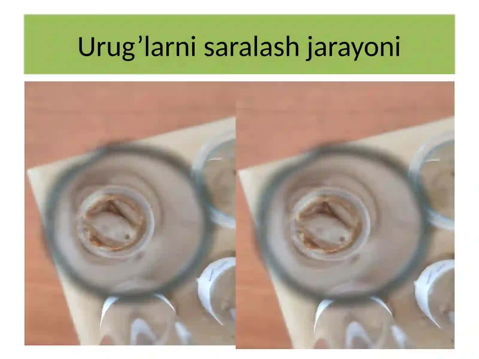 Kimyotexnalogiya fakulteti Biotexnalogiya yo’nalishi 3