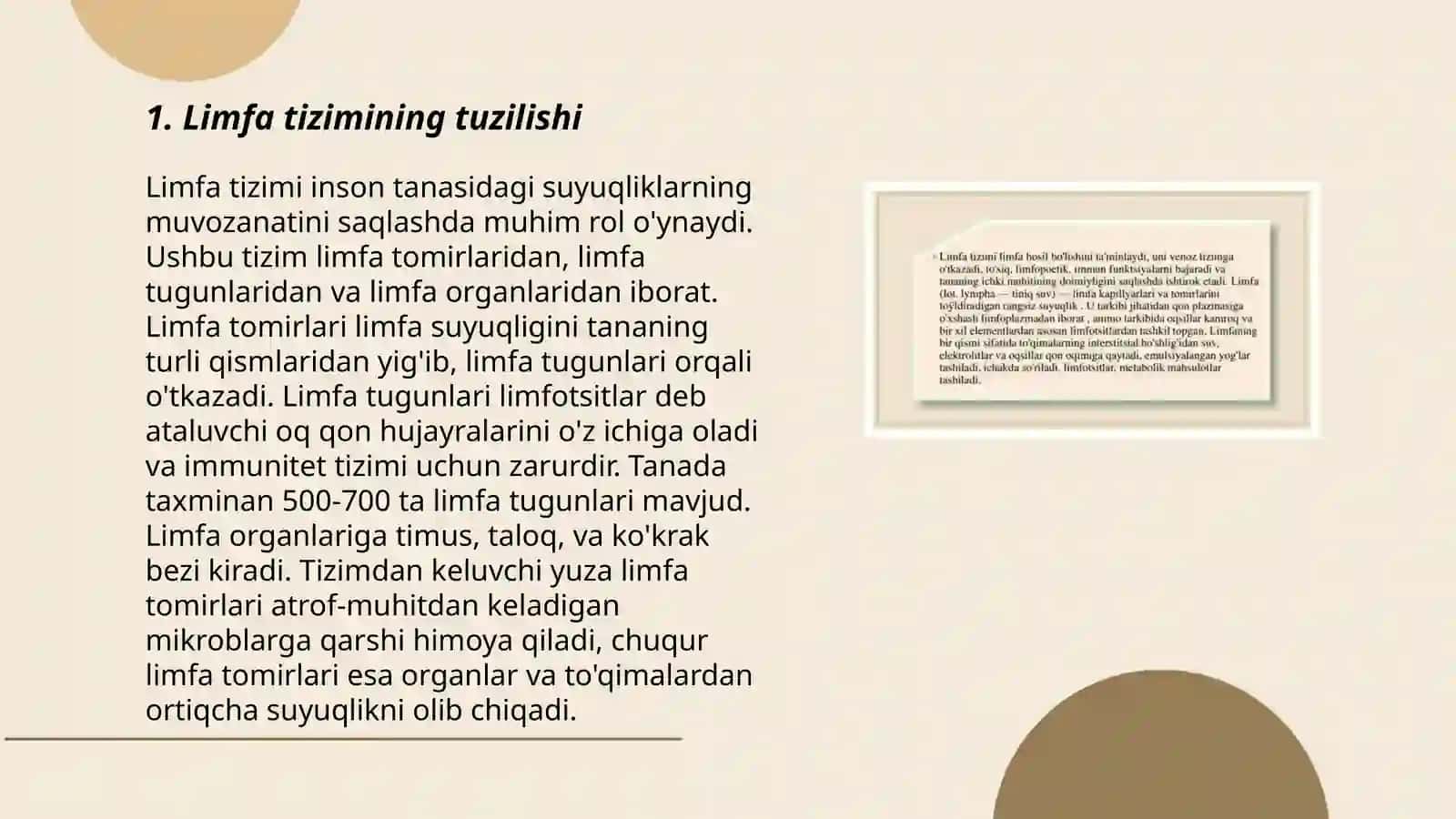 Limfa 3