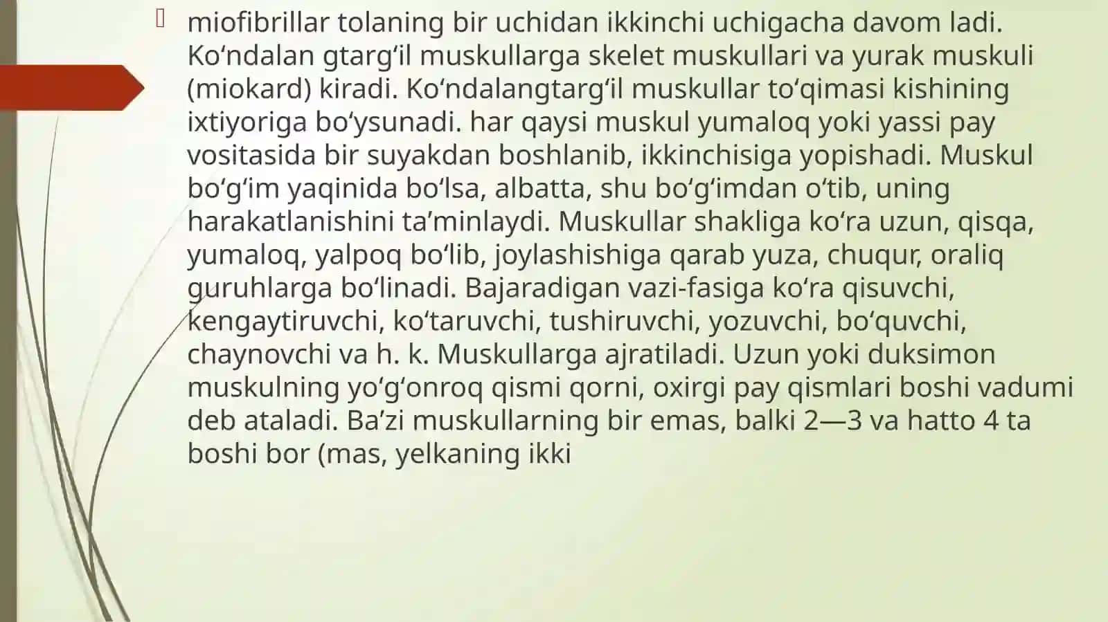 Muskullar faoliyati va bolaning jismoniy imkoniyatlari 3