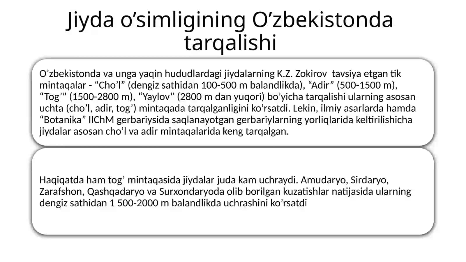 JIYDANAMOLAR 3