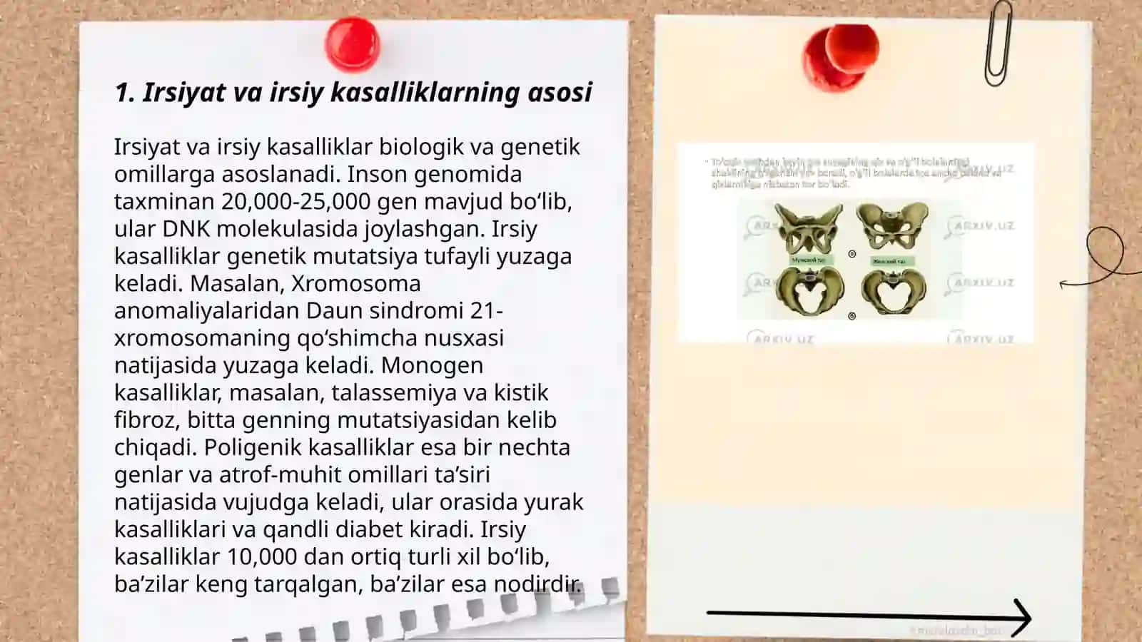 Irsiyat va irsiy kasalliklar. Nerv tizimining ahamiyati va gigiyenasi 3