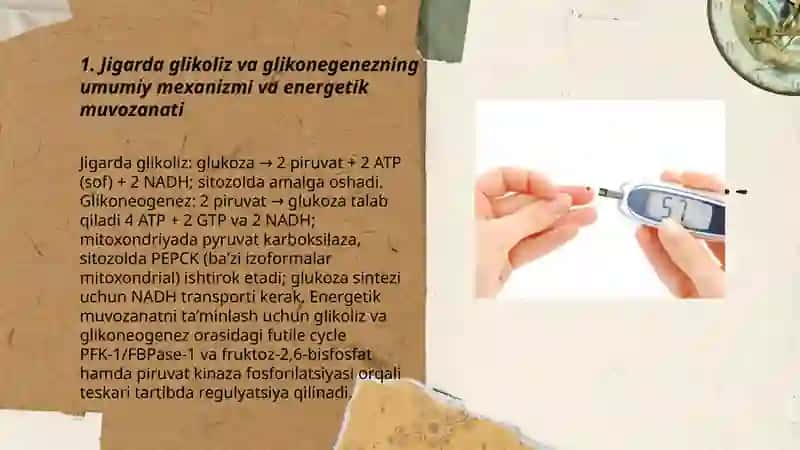 Jigarda glikoliz va glikonegenezni boshqarilishi 3