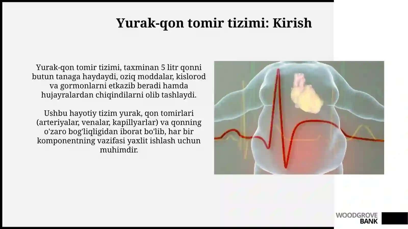 Yurak va qontomirsistemasi 3