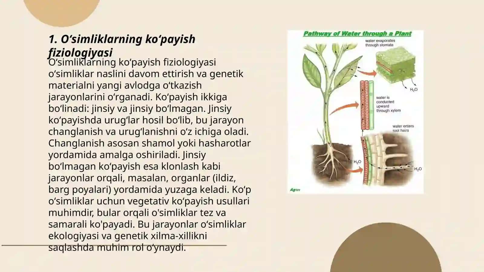 Oʻsimliklarning koʻpayish fiziologiyasi va Oʻsimliklardagi tinim holati bodring ósimligida 3