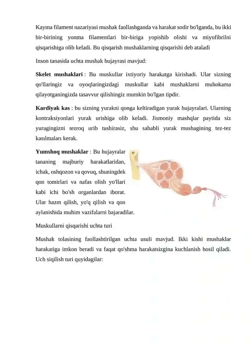 Muskul qisqarish apparati oqsillari 3