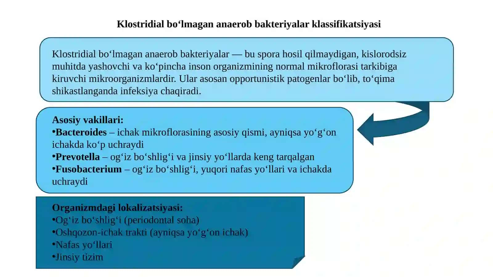 Patogen anaërob klostridial bo'lmagan infeksiya qo'zg'atuvchilari (Bacteroides, Prevotella, Fusobacterium) kasalliklari patogenezi 3