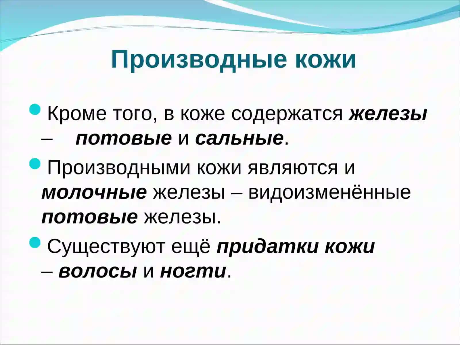 Кожа 3