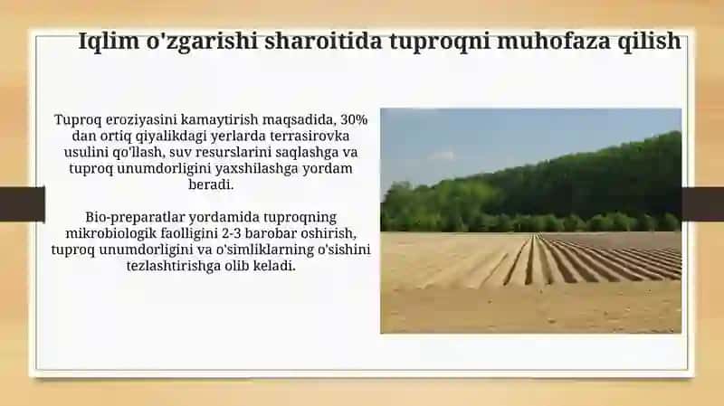 Tuproqning issiqlik va oziq rejimlarini yaxshilash bo'yicha ilgor fermer xo'jaliklari tajribalari 3