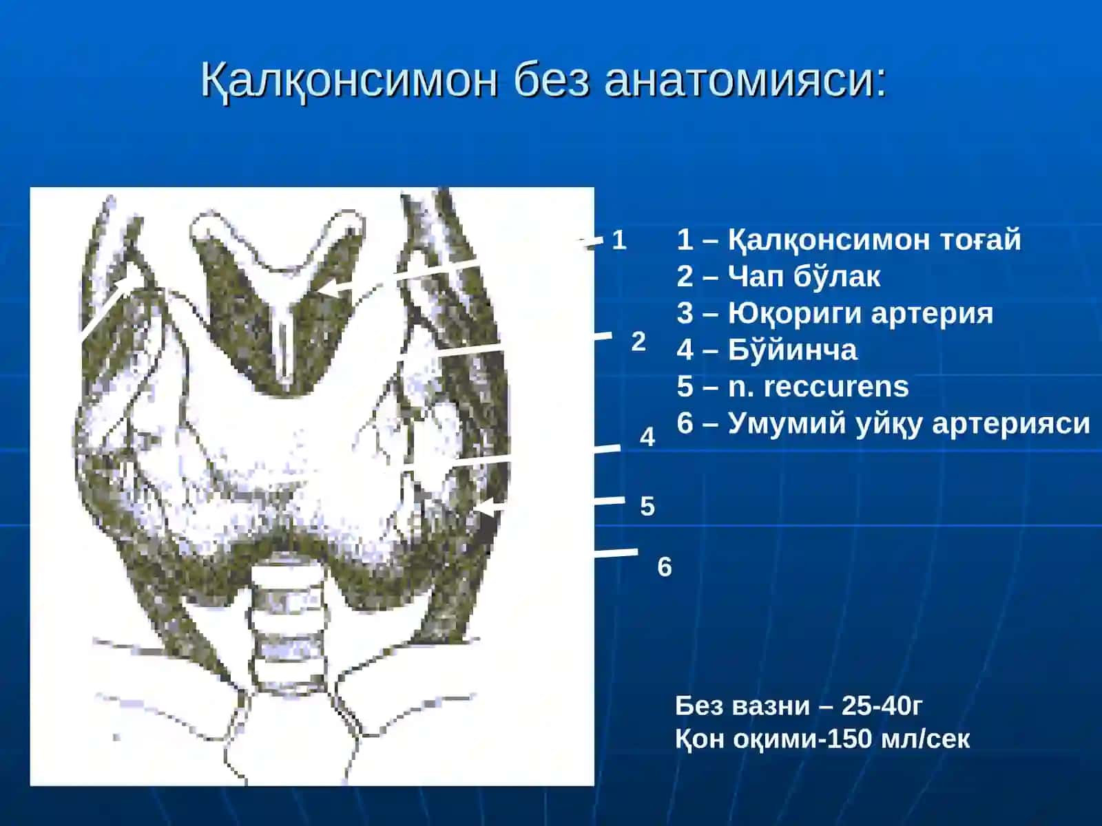 Калкoнсимон без касалликлари 3