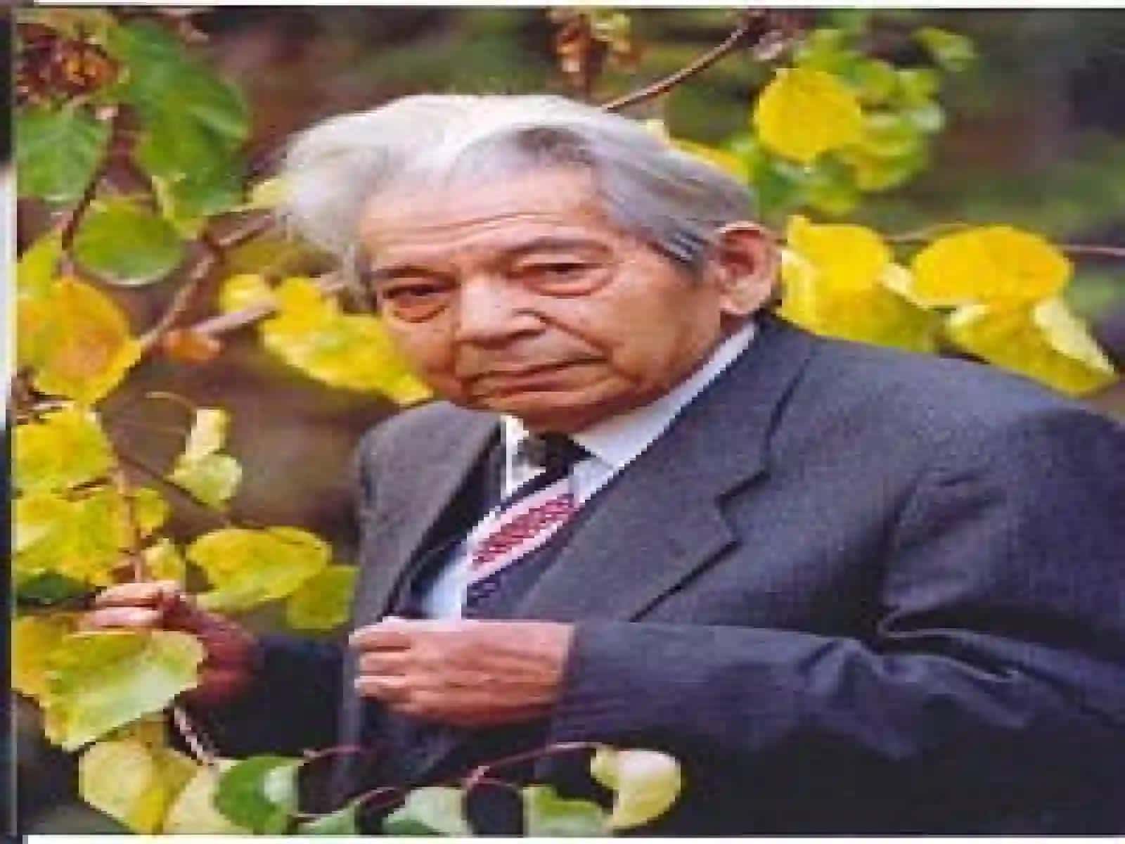 Said Ahmad Hayoti va Ijodi, Qorako'z Majnun 3