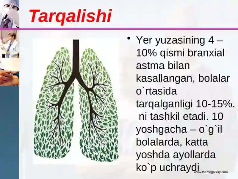 Bronxialastma 3