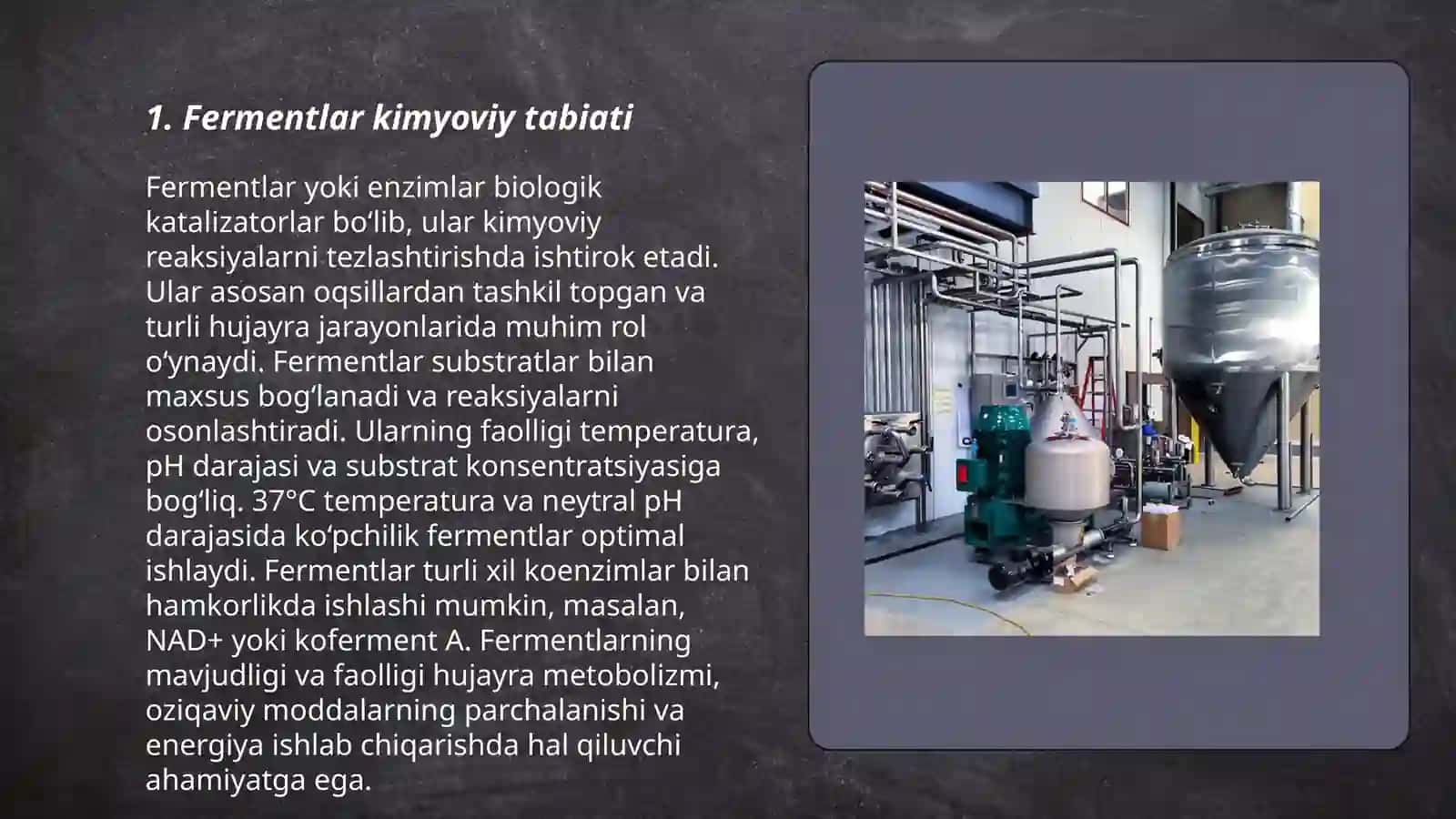 Fermentlar 3