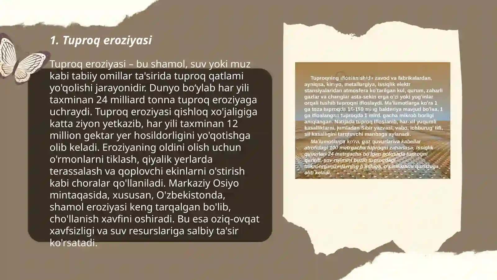 Tuproq va suvning ifloslanishi 3