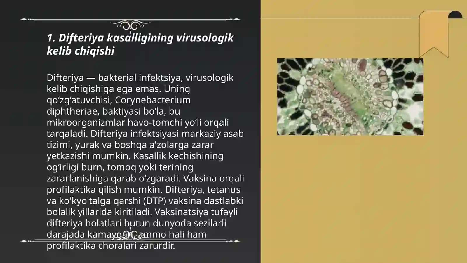Difteriya kasalligining kelib chiqish sabablari va asoratlari 3