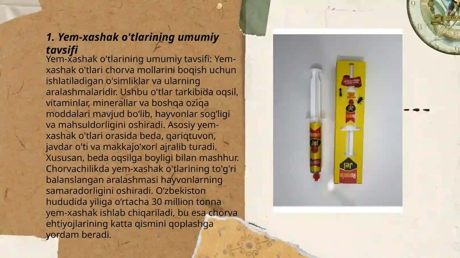 Yem xashak o'tlarning tavsifi dukkakli yem xashak ekinlar axamiyati.Beda beologiyasi va yeishtirish texnalogiyasi 3