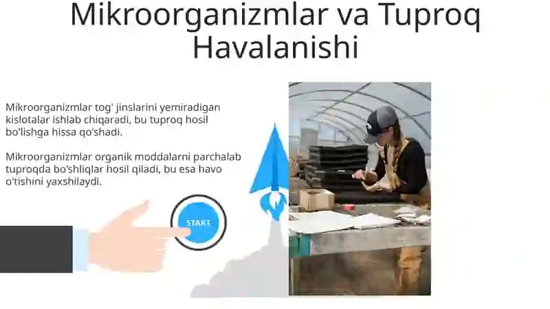Tuproq paydo bo'lishida mikroorganizmlarning roli 3