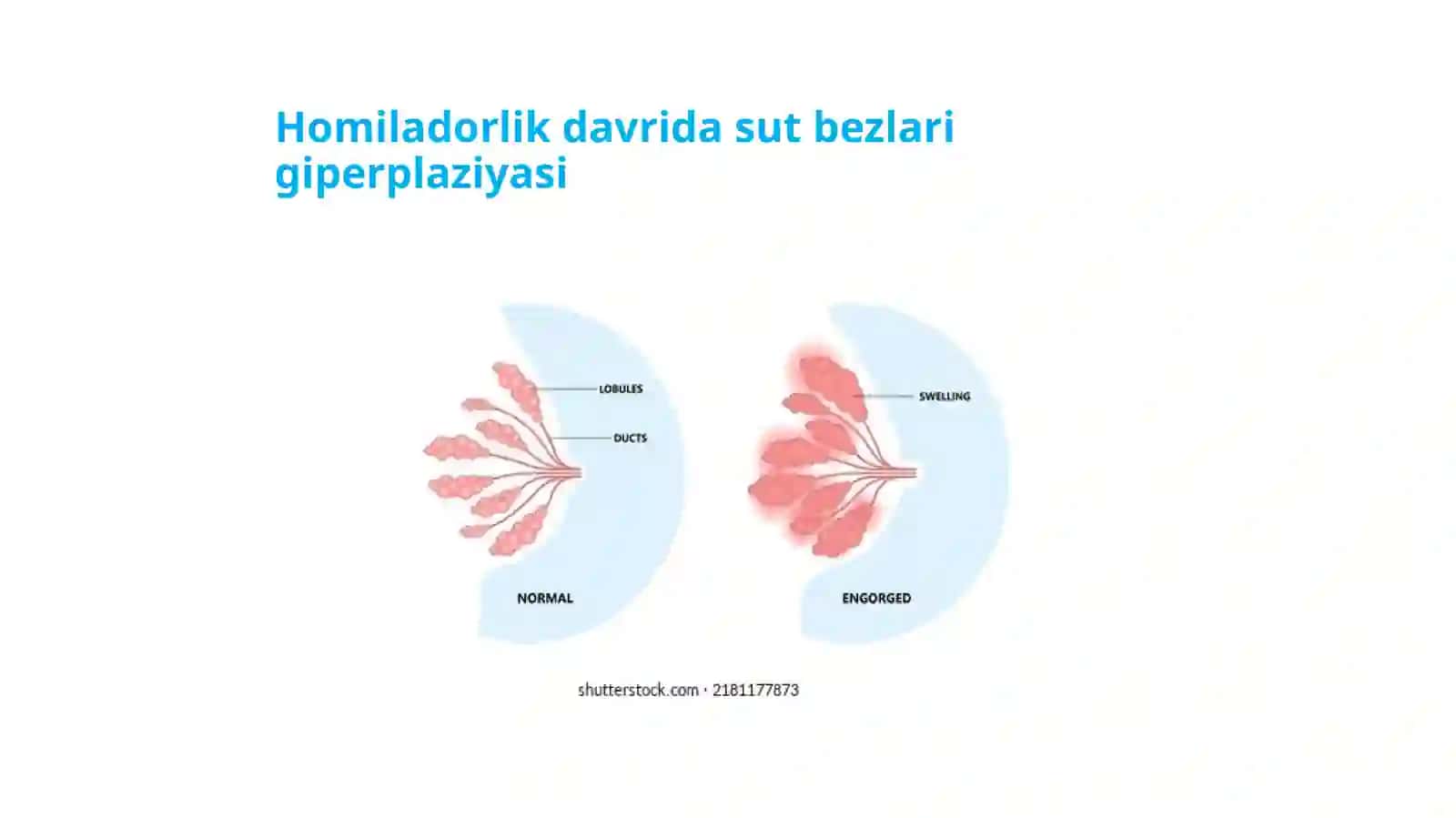 PATOLOGIYA FANIGA KIRISH. HUJAYRA ADAPTATSIYASI. HUJAYRA SHIKASTLANISHI VA O’LIMI 3