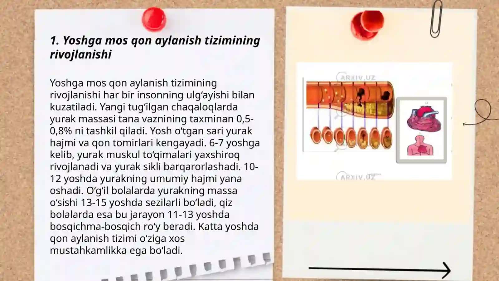 Yoshga mos qon aylanish tizimining yosh xususiyati va gigiyenasi 3