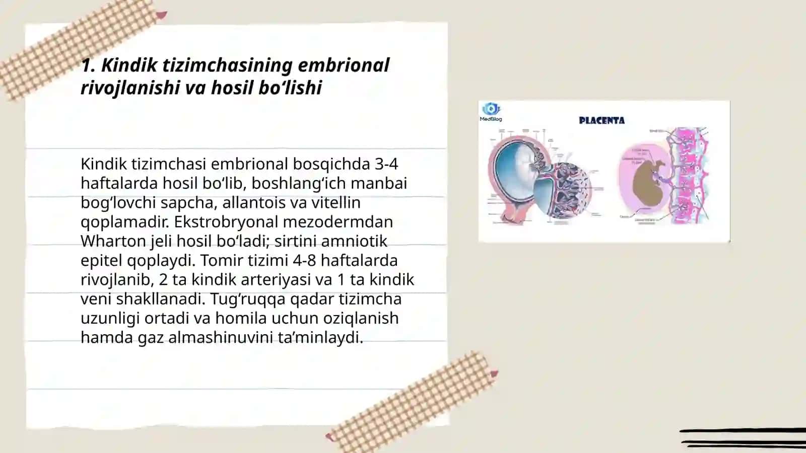 Kindik tizimchasining rivojlanishi,tuzilishi va vazifalari 3