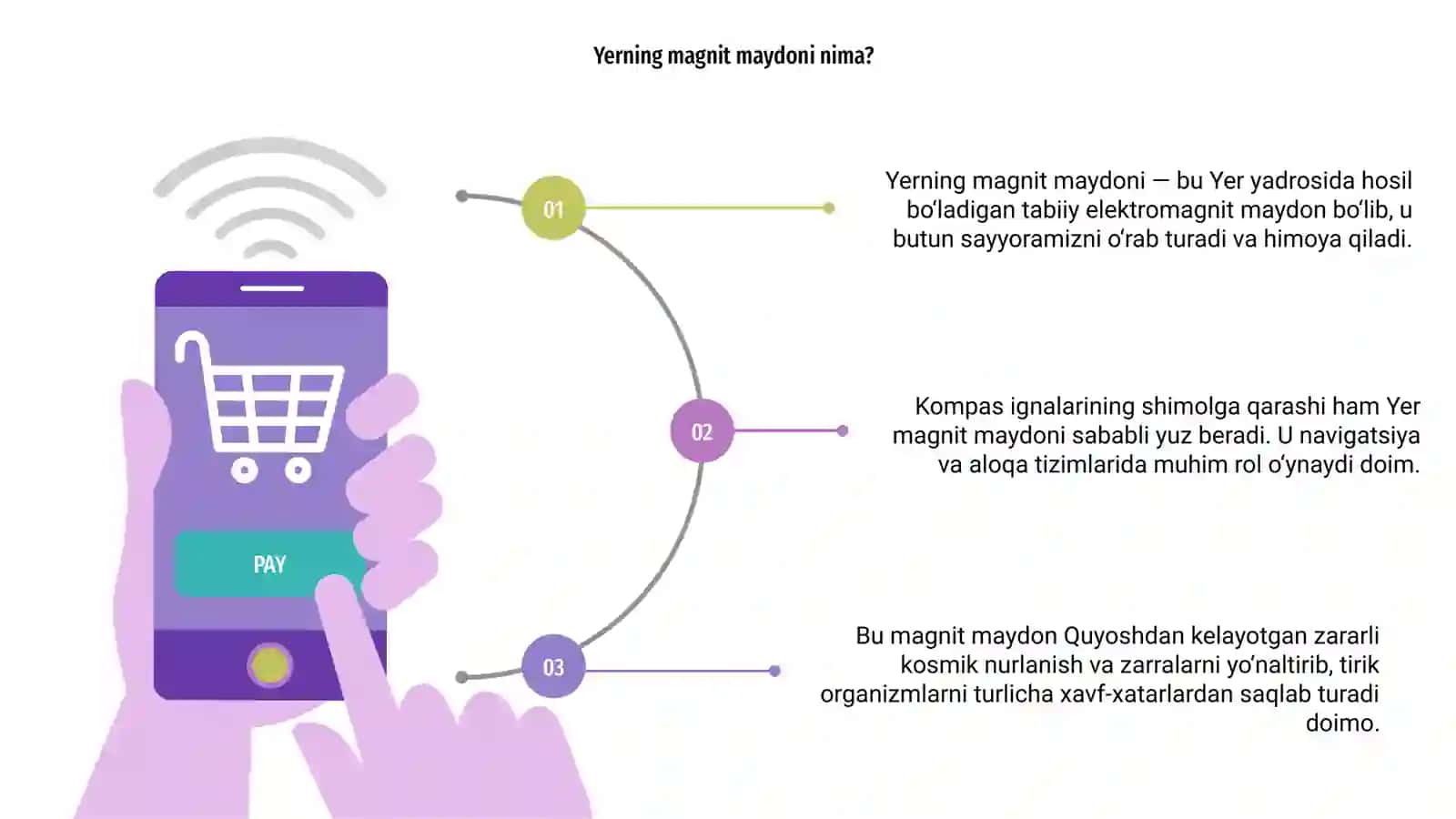 Yerning magnit maydoni 3